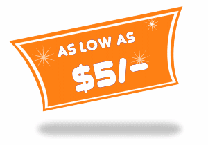 Courier Prices as low as $5